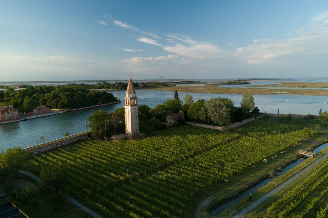 Venissa (Mazzorbo), Venice