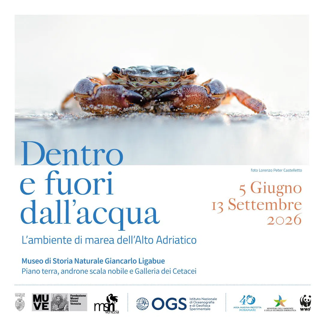 Museo di Storia Naturale di Venezia Giancarlo Ligabue (Fontego dei Turchi), Venezia