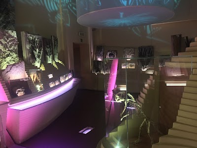 자연사 박물관 (Museo di Storia Naturale)