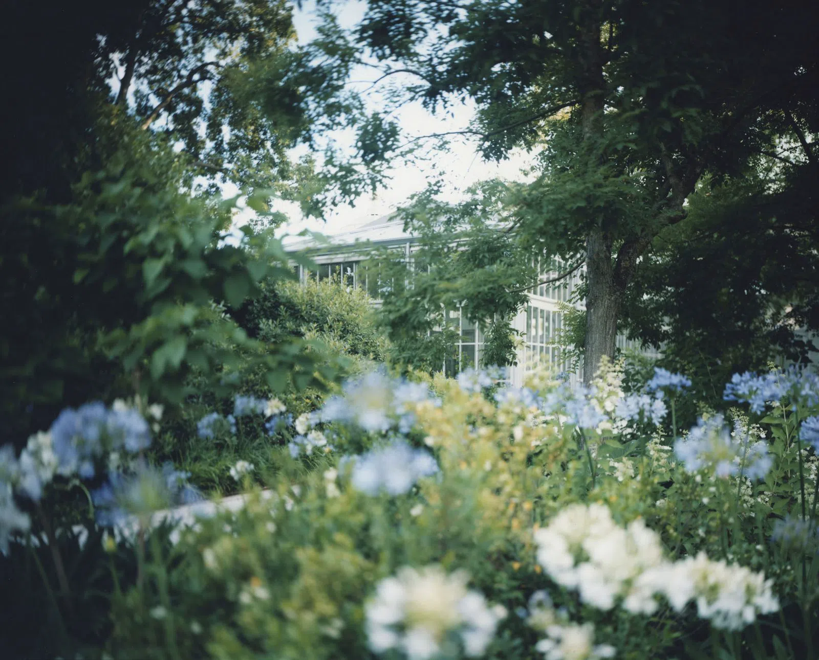 Giardini Reali di Venezia (Royal Gardens), Venice