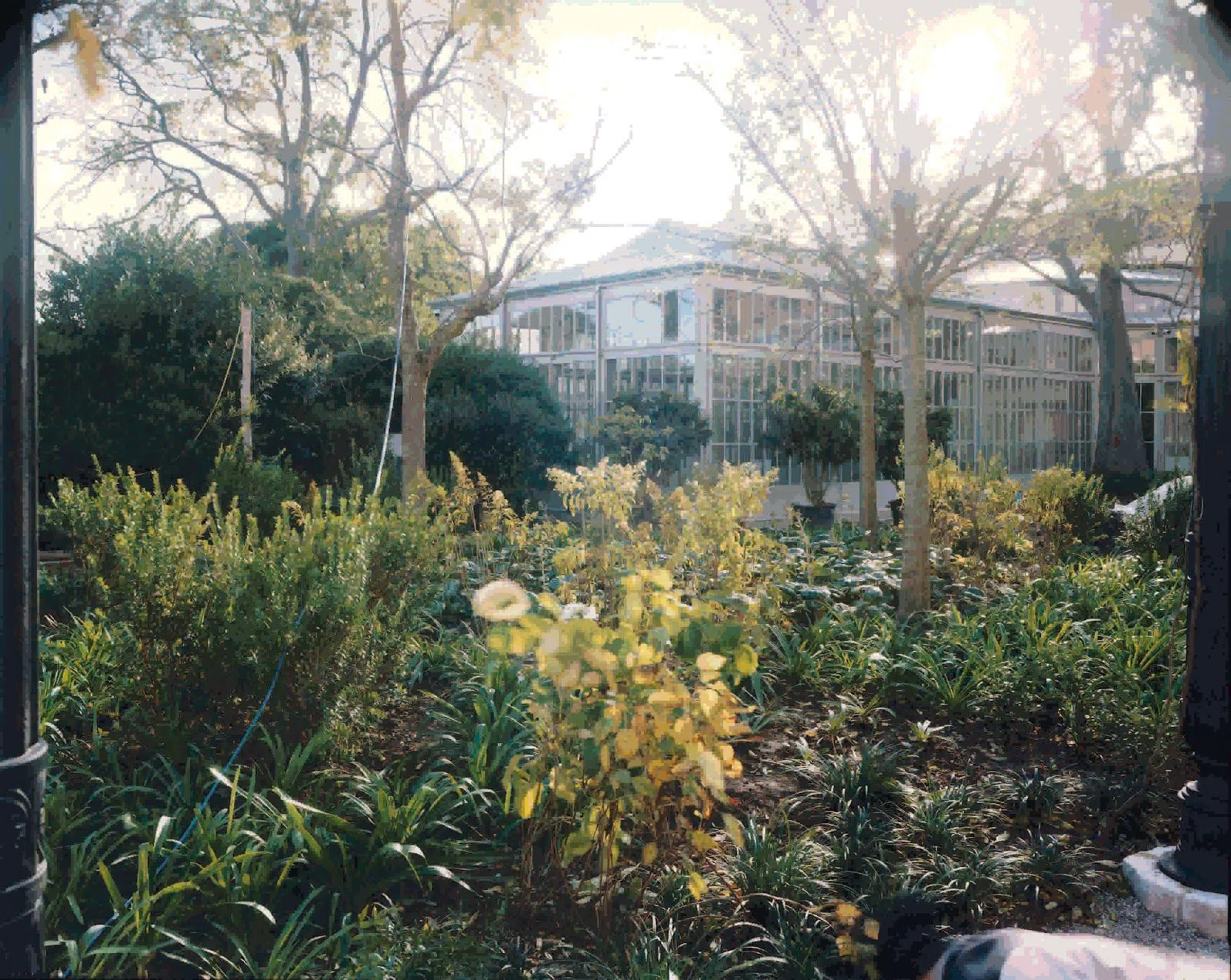 Giardini Reali di Venezia, Venice